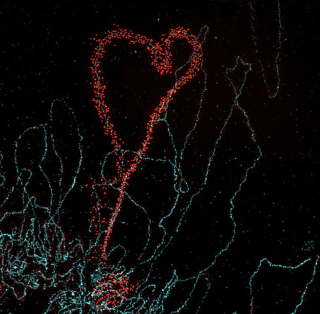 Illustration for article titled These Are Some of the Best Microscopic Images of the Year